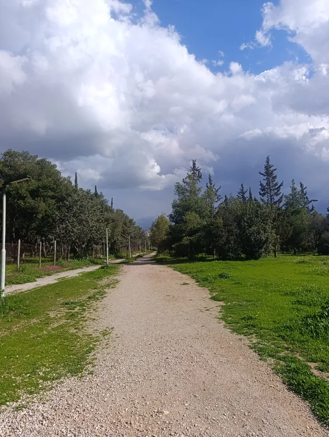 Ο δρόμος δίπλα στο λιβάδι